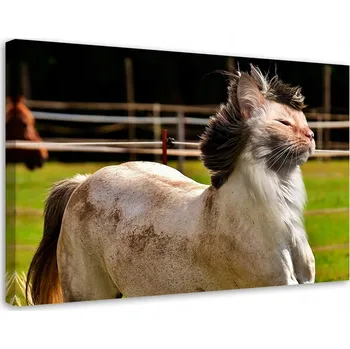 Obraz Obraz na plátně Canvas Kočka Kůň Zvíře 60x40