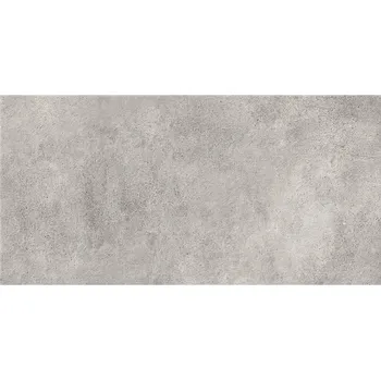 Dlažba DLAŽBA BORIDO LIGHT GREY MAT 29,8X59,8