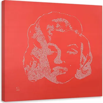 Obraz OBRAZ NA PLÁTNĚ Marilyn Monroe Pozadí Červené 50x50