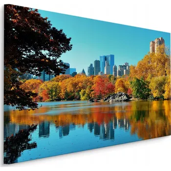 Obraz Obraz do obýváku Central Park Příroda NYC 3D 90x60