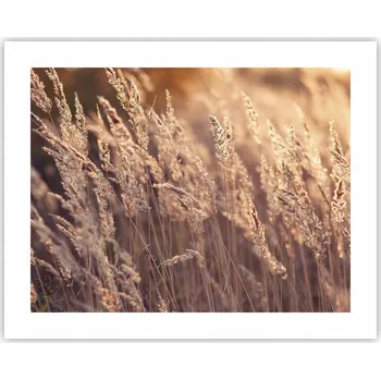 Obraz Obraz plakát na zeď bez rámu 50x40 krajina foto obývák ložnice