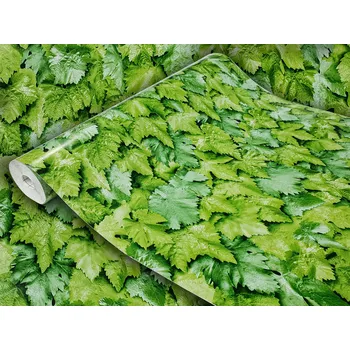 Tapeta Dekorativní Fólie Lepicí nábytková dýha Zelená ROSTLINNÁ Šířka 45 cm