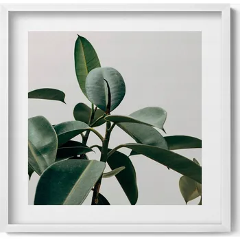 Obraz Nástěnný obraz v bílém rámu Zelená rostlina minimalistický styl 50x50 cm