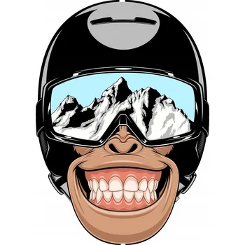 Samolepicí dekorace na vozidlo NÁLEPKA na auto OPICE MONKEY SNOWBOARD 15x10
