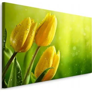 Obraz Obraz Kvetoucí Žluté TULIPÁNY Květiny ve 3D 40x30