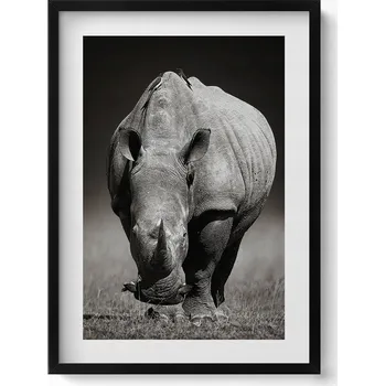 Obraz Dekorativní nástěnný obraz s rámem a grafikou loft Černobílý nosorožec 50x70 cm