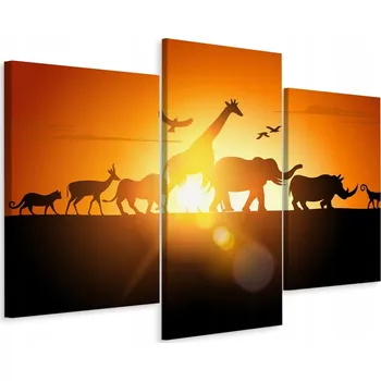 Obraz Obraz Triptych ZVÍŘATA Slunce 3D Afrika 150x100
