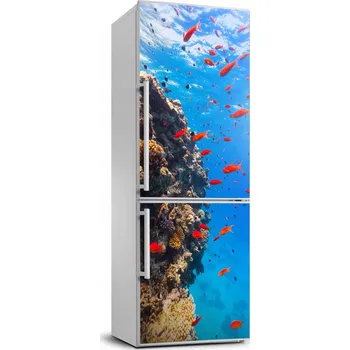 Fototapeta Samolepka na lednici – korálový útes Rafa – 70x190 cm