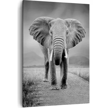 Obraz Obraz na plátně do obýváku, ložnice 50x70 slunce foto obrazy na zeď canvas