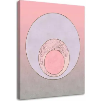 Obraz Obraz Růžové kruhy - Andrea Haase 40x60
