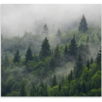 Kuchyňské prkénko Skleněná Ochranná Deska a Krájecí Prkénko | Indukce, Sporák ds-0500