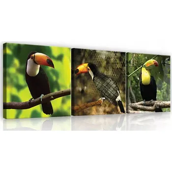 Obraz OBRAZ NA PLÁTNĚ CANVAS 75x25 TUKAN PTÁK PŘÍRODA