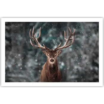 Obraz Obraz plakát do obýváku ložnice 91x61 zvířata foto na zeď bez rámu