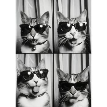 Plakát Plakát Kočičí Koketérie bez rámu 67,5 x 95 cm