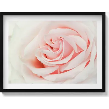 Obraz Obraz v černém rámu nástěnná dekorace Detail okvětní lístky růže 80x60 cm