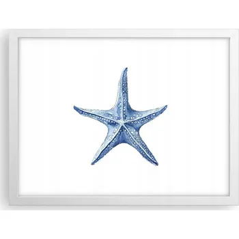 Obraz Obraz plakát v bílém rámu do obýváku 40x30 hvězdice foto na zeď