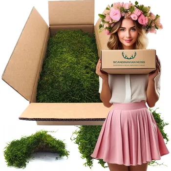 Obraz Dekorativní mech v krabičce 100g, 10 x 20 cm