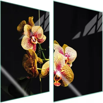 Obraz Krájecí deska TMK ArtDeko sklo 2 ks