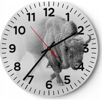 Hodiny Kuchyňské nástěnné hodiny 30x30 Zubr Moderní skleněné hodiny do obýváku Tiché