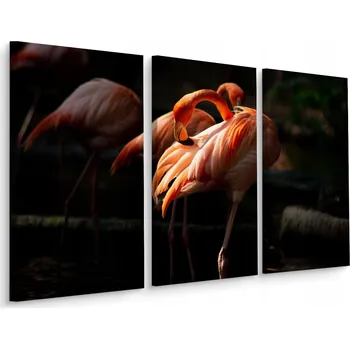 Obraz Obraz Tryptych PTAKI Plameňáci Dekorace 3D 60x40