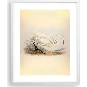 Obraz Obraz plakát na zeď v bílém rámu 40x50 pták foto plakáty do obýváku