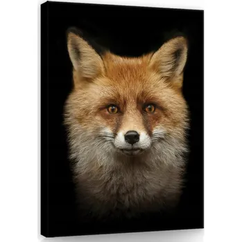 Obraz OBRAZ NA PLÁTNĚ CANVAS 60x80 RUDY LIS PORTRÉT