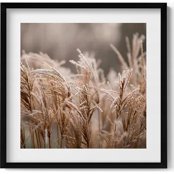 Obraz Nástěnný dekorativní obraz v rámu s grafikou Boho - jemné trávy 50x50 cm