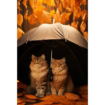 Plakát Plakát Podzimní Kočičí Úkryt bez rámu 61 x 90,5 cm