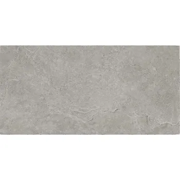 Dlažba DLAŽBA ARDEZIA GREY MATT 29,8X59,8
