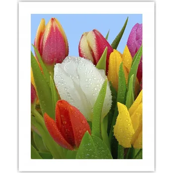 Obraz Obraz plakát na zeď bez rámu 40x50 tulipány plakáty do obýváku ložnice