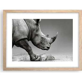Obraz Obraz plakát v rámu světlý dub do obýváku 40x30 nosorožec foto na zeď