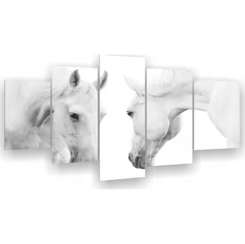 Obraz TRYPTYCHY OBRAZY NA ZEĎ BÍLÍ KONĚ 5 dílů