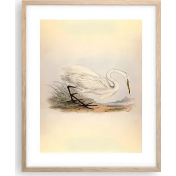 Obraz Obraz plakát na zeď v rámu světlý dub 40x50 pták foto plakáty do obýváku