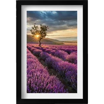 Obraz Ozdobný nástěnný obraz v rámu s grafikou loft Krajina levandulového pole 20x30 cm