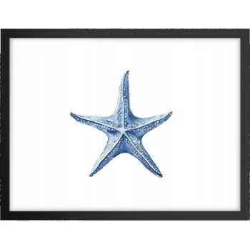 Obraz Obraz plakát v černém rámu do obýváku 40x30 hvězdice foto na zeď