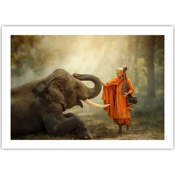 Obraz Plakát bez rámu do obýváku, ložnice 70x50 Asie moderní, módní obraz