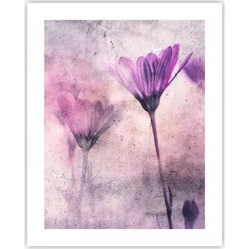 Obraz Obraz plakát na zeď bez rámu 40x50 květiny plakáty do obýváku ložnice