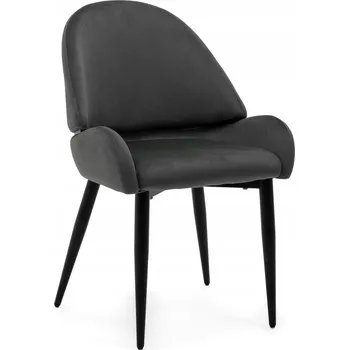Jídelní židle Židle New Home velur šedá 1 ks