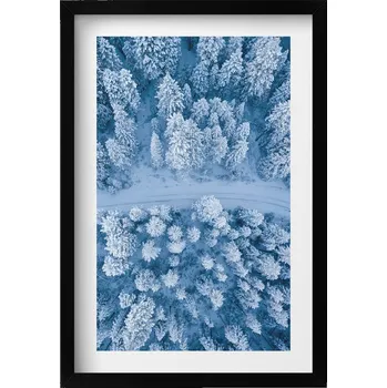 Obraz Obraz v rámu na zeď do obýváku Les z ptačí perspektivy Dron 40x60 cm