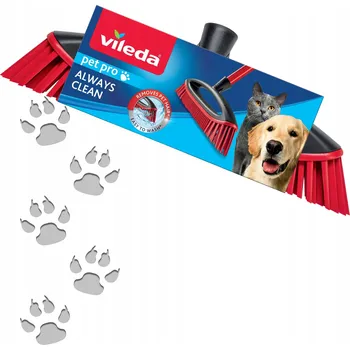 Obraz Domácí smeták Vileda z kaučuku