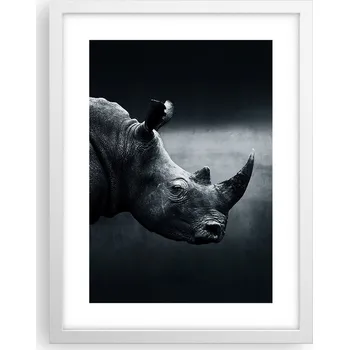 Obraz Obraz plakát v bílém rámu do obýváku 30x40 nosorožec plakáty na zeď