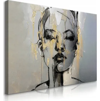 Obraz Obraz do Obývacího Pokoje PORTRET Ženy Abstrakce 40x30