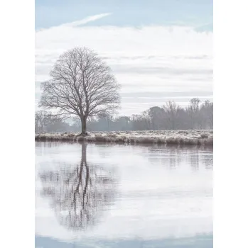 Obraz Plakát Odraz stromu v rybníku bez rámu 39,5 x 55 cm