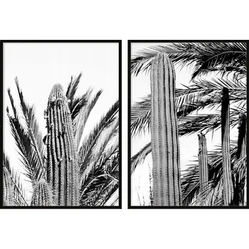 Obraz OBRAZY V RÁMU 53x73cm Dyptych Sada 2 obrazů Kaktusy Černobílé P726