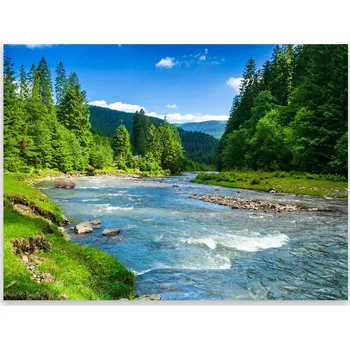 Kuchyňské prkénko Skleněná Ochranná Deska a Krájecí Prkénko | Indukce, Sporák ds-0364