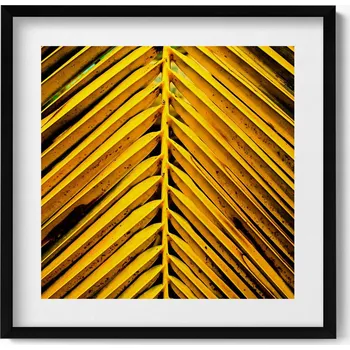 Obraz Dekorativní nástěnný obraz s černým rámem a grafikou loft - Listy rostliny 50x50 cm