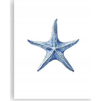 Obraz Obraz plakát na zeď bez rámu 40x50 Hvězdice plakáty do obýváku ložnice