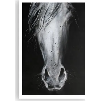 Obraz Plakát na zeď bez rámu 70x100 kůň foto-obraz plakáty do obývacího pokoje ložnice