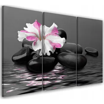Obraz OBRAZ TRIPTYK Kameny Květina Růžový Zen 60x40