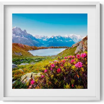 Obraz Dekorativní nástěnný obraz v bílém rámu Ledovec Mont Blanc Chamonix 50x50 cm